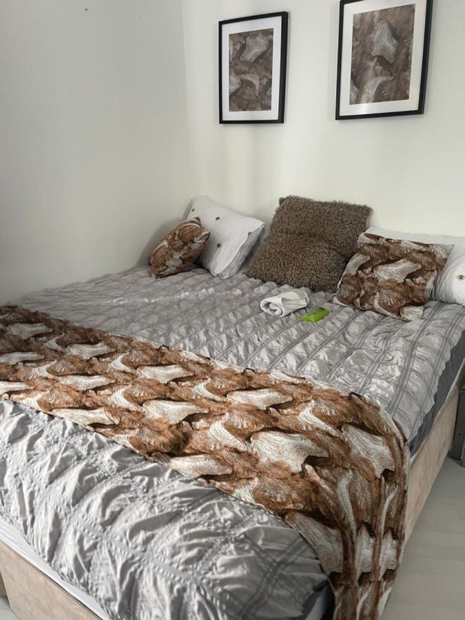 Spacious One Bedroom Ft In Central London King'S Cross エクステリア 写真