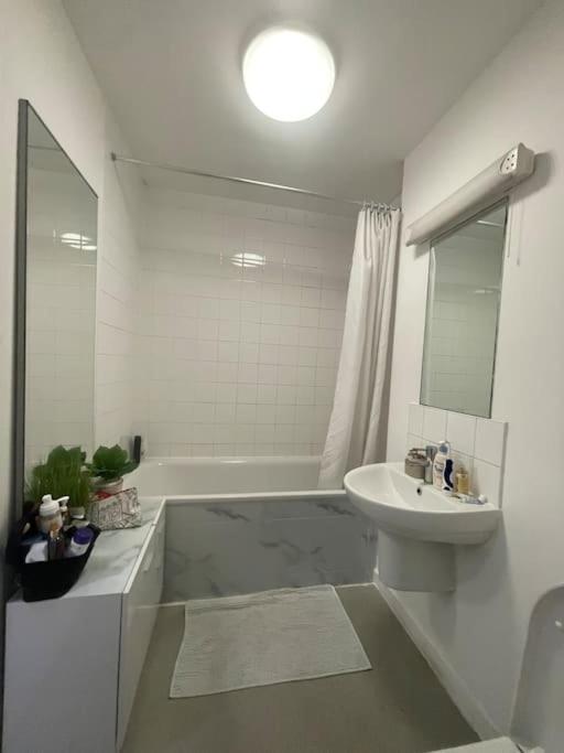 Spacious One Bedroom Ft In Central London King'S Cross エクステリア 写真