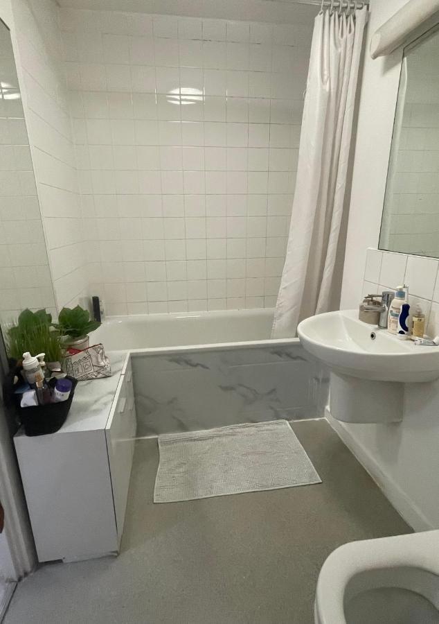 Spacious One Bedroom Ft In Central London King'S Cross エクステリア 写真